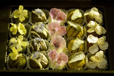 Luxuriöse Pralines, gesehen bei Winterfeldt-Schokoladen