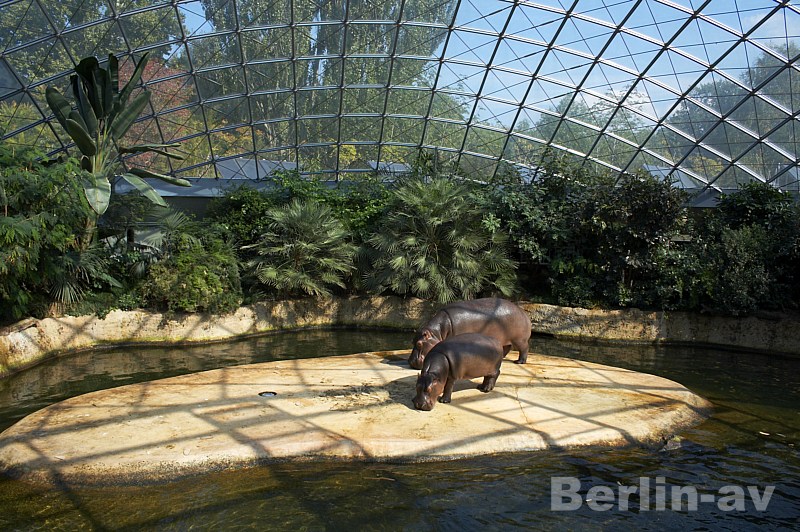 zoo-berlin_23