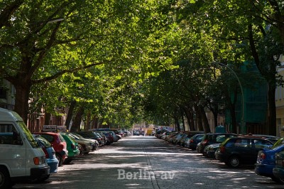 Viele Bäume an diesem Strassenzug in Berlin-Schöneberg