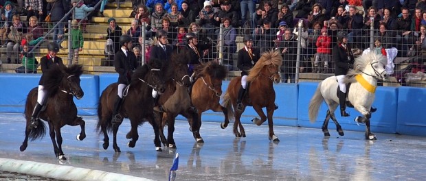 Icehorse - EM der Islandpferde auf Eis in Berlin