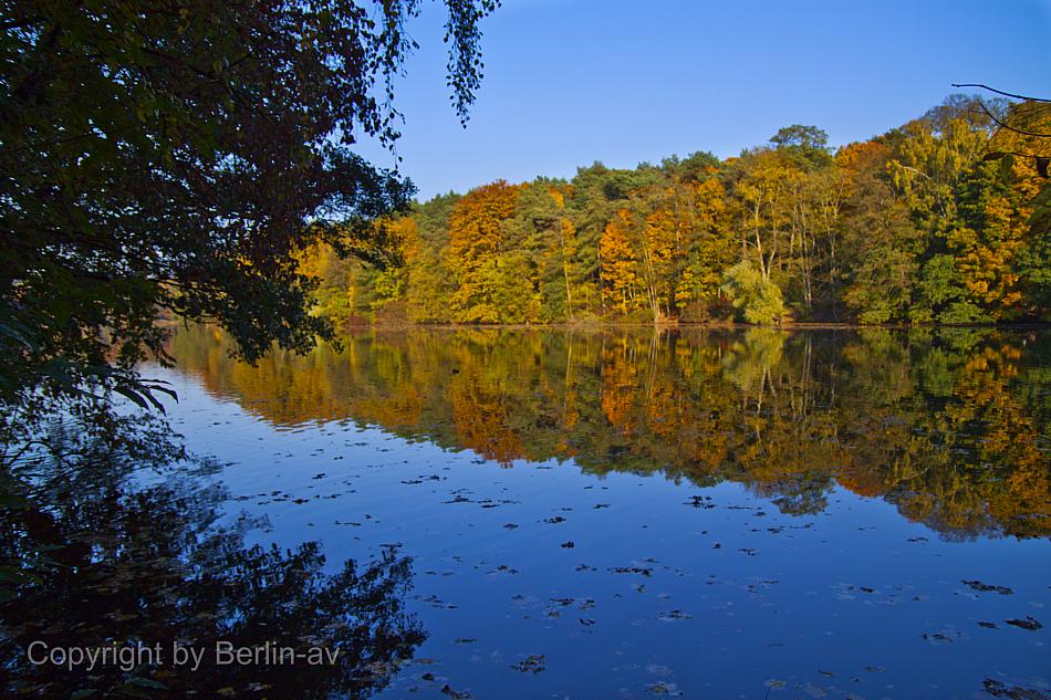 Fototipp Herbstbilder - Herbstliche Spiegelungen, fotografiert an der Krummen Lanke