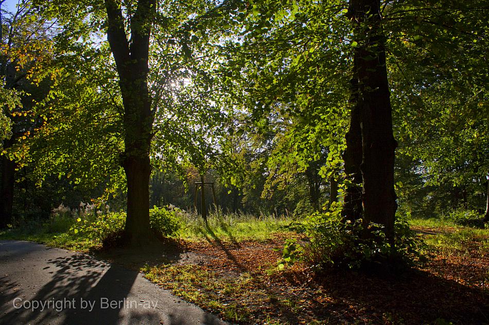 Fototipp - Herbst im Gegenlicht, fotografiert im Glienicker Park