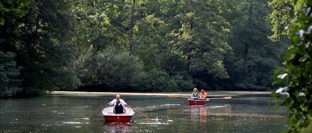 Tiergarten am Neuen See - Tiergarten, a quiet place in the city