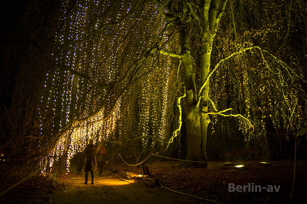 christmas-garden-berlin-2642