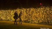 Christmas Garden Berlin Botanischer Garten 2017