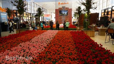 Der Stand von Holland präsentiert natürlich auch die beliebten Tulpen - IGW 2019
